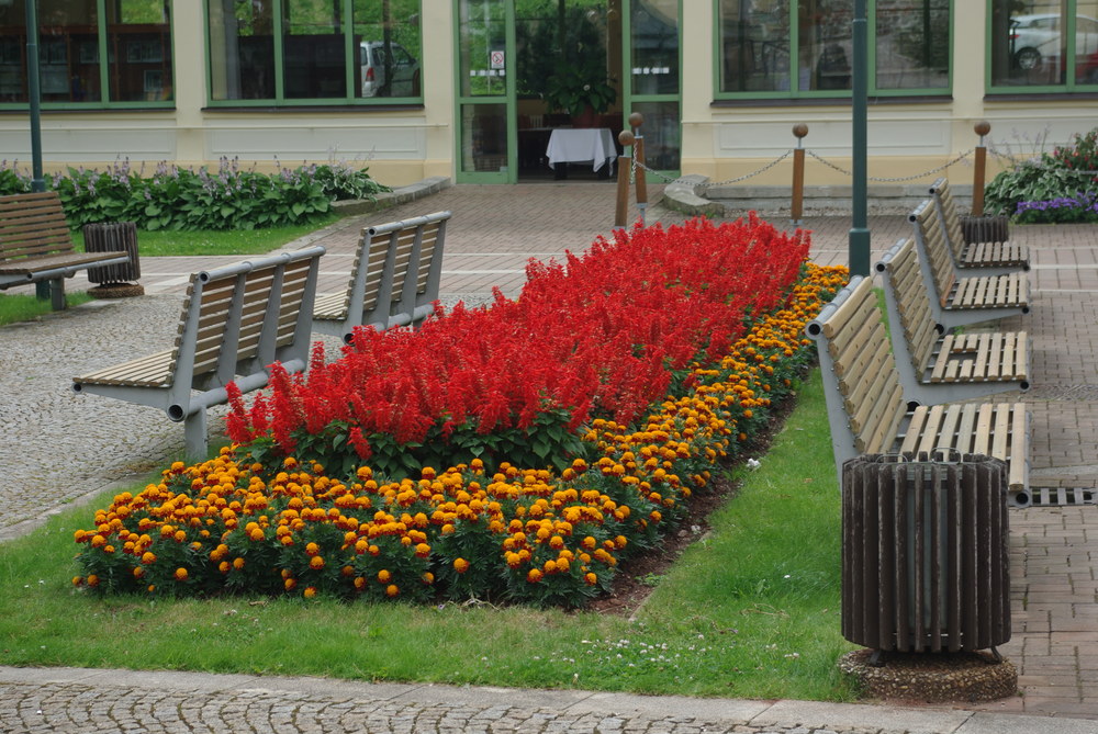 Fotka 0717-vychazka/imgp1064.jpg