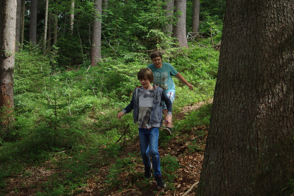 Fotka 0720_hra/2016-07-20_15-31-35.jpg