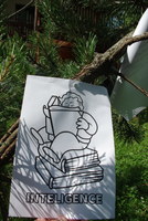 Náhled fotky fotky/0717-hra/imgp1096.jpg