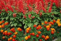 Náhled fotky fotky/0717-vychazka/imgp1060.jpg