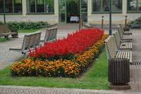 Náhled fotky fotky/0717-vychazka/imgp1064.jpg