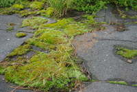 Náhled fotky fotky/0718-foto/imgp0004.jpg