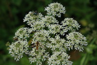 Náhled fotky fotky/0718-foto/imgp0009.jpg