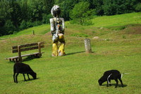 Náhled fotky fotky/0718-foto/imgp0048.jpg