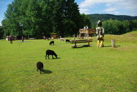 Náhled fotky fotky/0718-foto/imgp0049.jpg