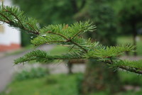 Náhled fotky fotky/0718-foto/imgp1172.jpg