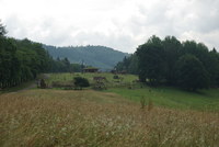 Náhled fotky fotky/0718-foto/imgp1190.jpg