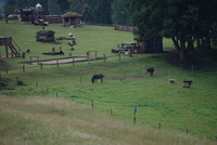 Náhled fotky fotky/0718-foto/imgp1191.jpg