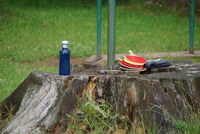 Náhled fotky fotky/0718-foto/imgp3191.jpg