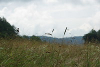 Náhled fotky fotky/0718-foto/imgp3236.jpg