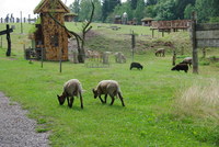 Náhled fotky fotky/0718-foto/imgp3249.jpg