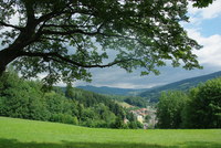 Náhled fotky fotky/0718-foto/imgp3262.jpg