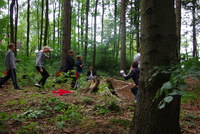 Náhled fotky fotky/0718-hra/imgp3332.jpg