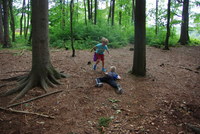 Náhled fotky fotky/0718-hra/imgp3358.jpg