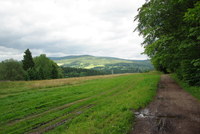 Náhled fotky fotky/0718-hra/imgp3409.jpg