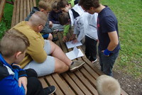 Náhled fotky fotky/0718-hra/imgp3422.jpg