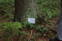 Náhled fotky fotky/0720_hra/2016-07-20_15-34-22.jpg