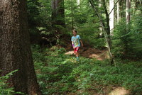 Náhled fotky fotky/0720_hra/2016-07-20_15-35-50.jpg