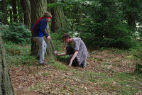 Náhled fotky fotky/0720_hra/2016-07-20_15-37-49.jpg