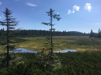 Náhled fotky fotky/0721/2016-07-21_10-54-50.614.jpg