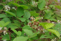 Náhled fotky fotky/0721/2016-07-21_15-34-07.jpg