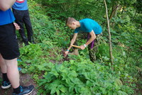 Náhled fotky fotky/0723/2016-07-23_17-24-12.jpg