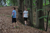 Náhled fotky fotky/0726/2016-07-26_15-30-45.jpg