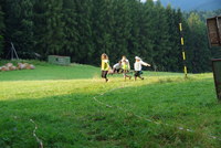 Náhled fotky fotky/0728/2016-07-28_18-59-01.jpg