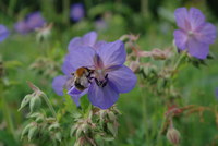 Náhled fotky fotky/odborna/imgp0008.jpg