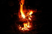 Náhled fotky fotky/taborak/dsc_0396.jpg